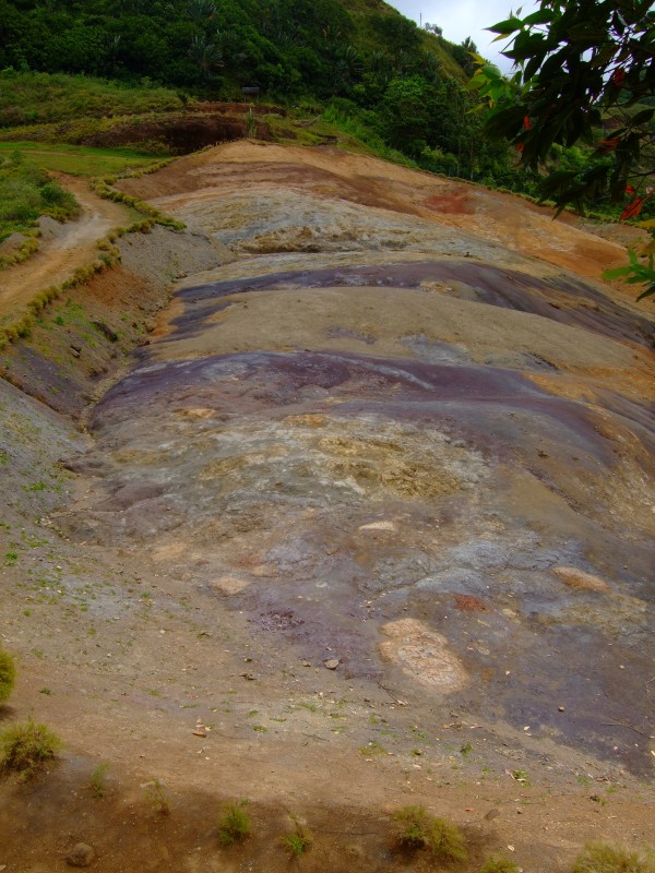 Mauritius 2010 - 0293 